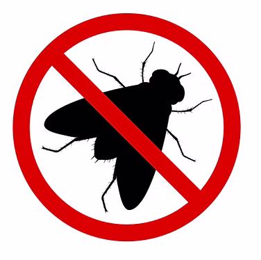 Fly killer