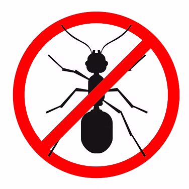 Insect killer