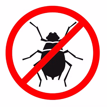 Insect killer (2