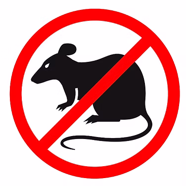 Pest Control Service