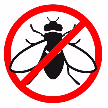 fly killer